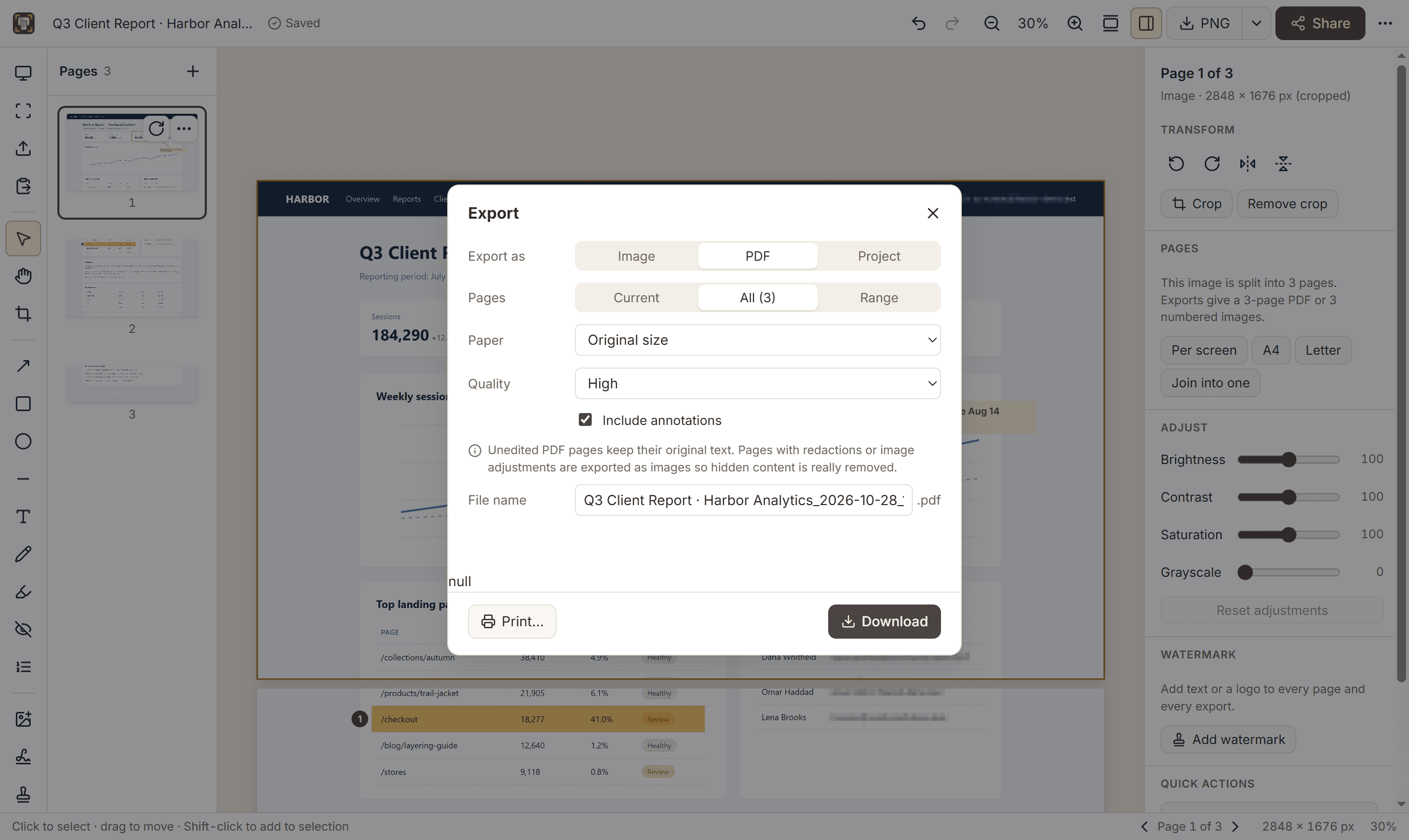 Capurize export dialog with PDF options.